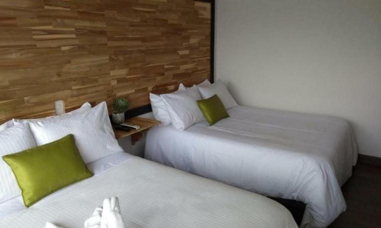 Sisga Hotel Boutique Choconta 外观 照片